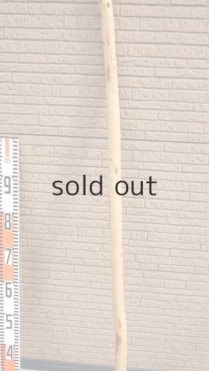 画像7: 棒流木・長尺