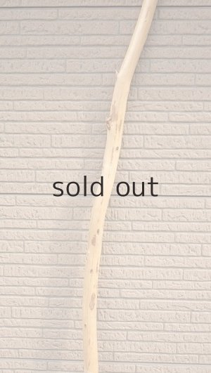 画像4: 棒流木・長尺