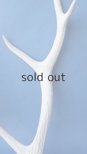 画像3: デコール用二ホンジカの角