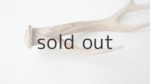 画像4: デコール用二ホンジカの角