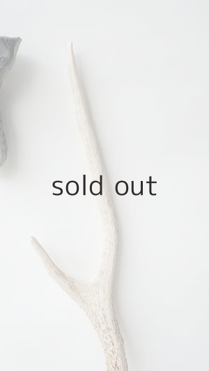 画像3: デコール用二ホンジカの角