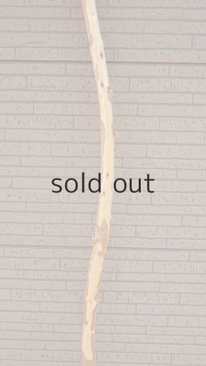 画像3: 棒流木・長尺