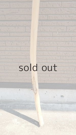 画像2: 棒流木・長尺