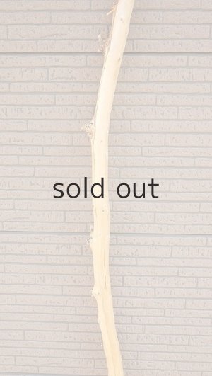 画像3: 棒流木・長尺