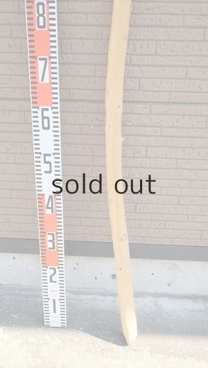 画像6: 棒流木・長尺