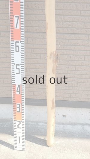 画像6: 棒流木・長尺