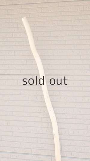 画像4: 棒流木・長尺