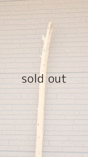 画像5: 棒流木・長尺