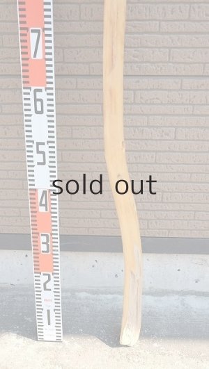 画像5: 棒流木・長尺