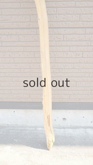 画像2: 棒流木・長尺