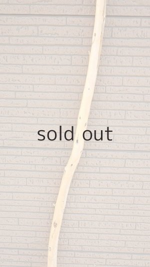 画像3: 棒流木・長尺