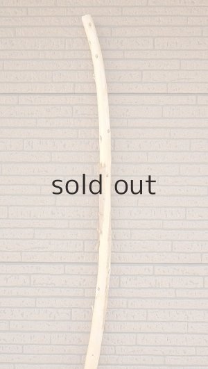 画像4: 棒流木・長尺