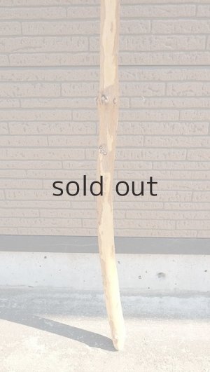 画像2: 棒流木・長尺