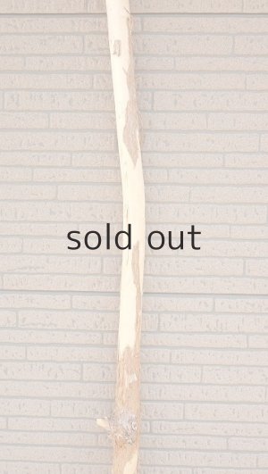 画像4: 棒流木・長尺