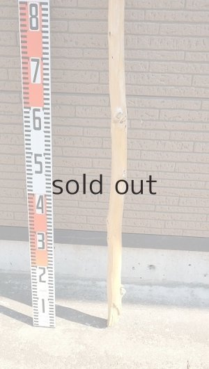 画像5: 棒流木・長尺