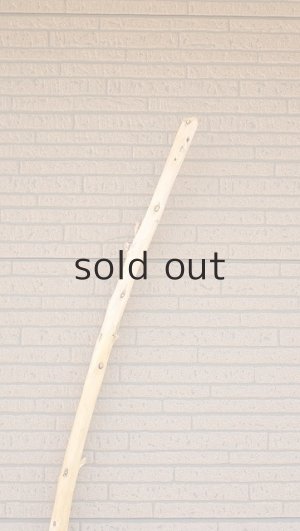 画像5: 棒流木・長尺