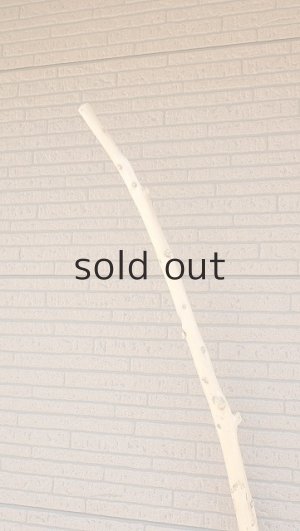 画像5: 棒流木・長尺