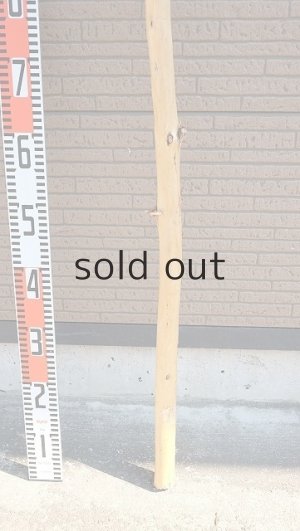 画像6: 棒流木・長尺