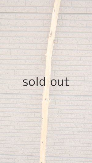 画像3: 棒流木・長尺