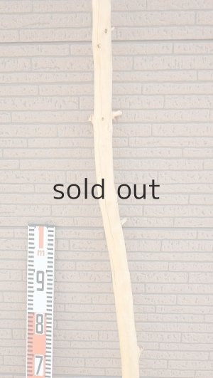 画像7: 棒流木・長尺