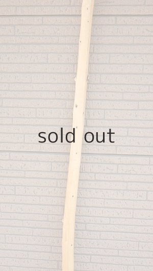 画像4: 棒流木・長尺