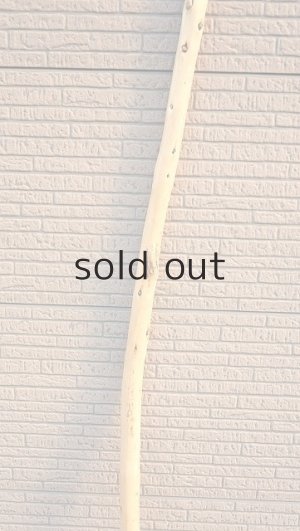 画像3: 棒流木・長尺