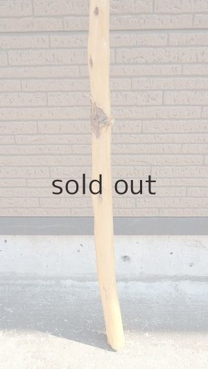 画像2: 棒流木・長尺