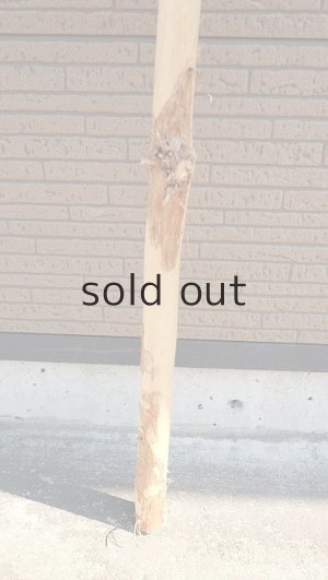 画像2: 棒流木・長尺