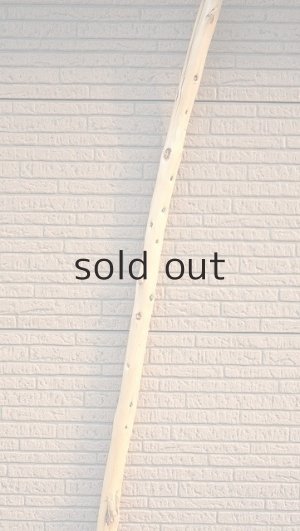 画像4: 棒流木・長尺