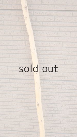 画像3: 棒流木・長尺