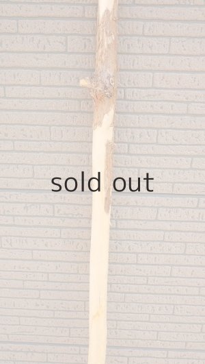 画像3: 棒流木・長尺