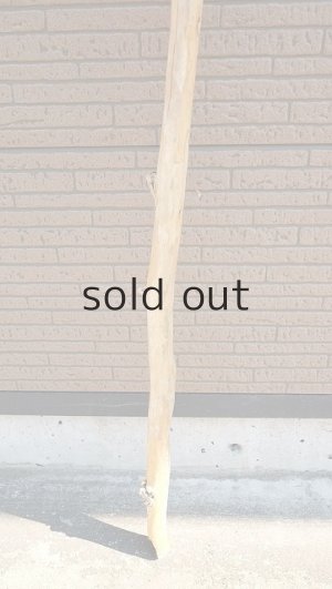 画像2: 棒流木・長尺