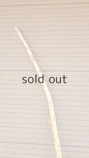 画像4: 棒流木・長尺