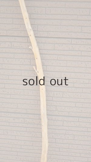 画像3: 棒流木・長尺