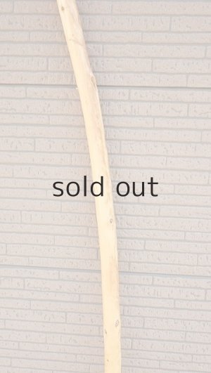 画像3: 棒流木・長尺