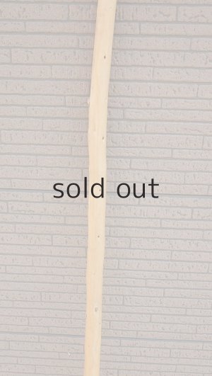 画像3: 棒流木・長尺