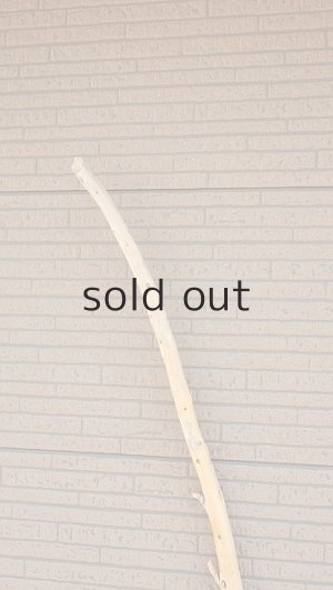 画像4: 棒流木・長尺