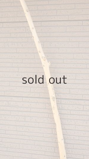 画像4: 棒流木・長尺