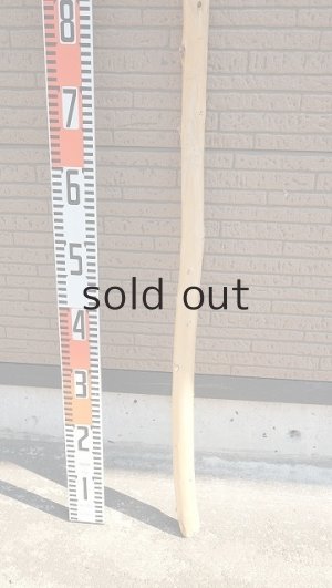 画像5: 棒流木・長尺