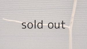 画像5: 幹流木・長尺