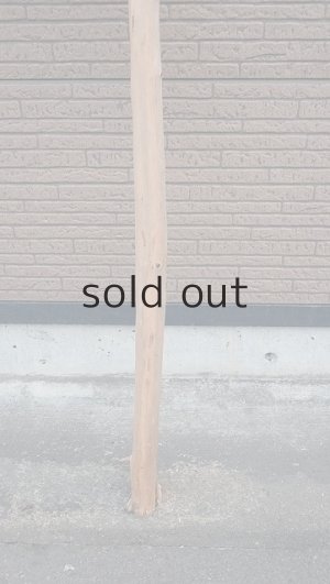 画像2: 幹流木・長尺