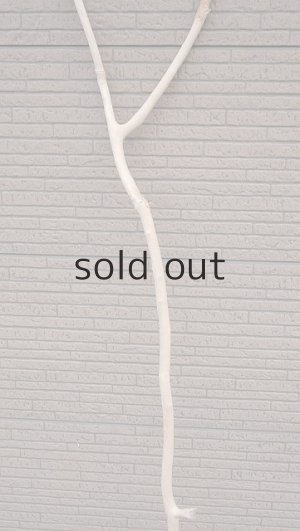 画像3: 幹流木・長尺