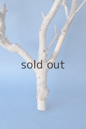 画像2: 小枝流木