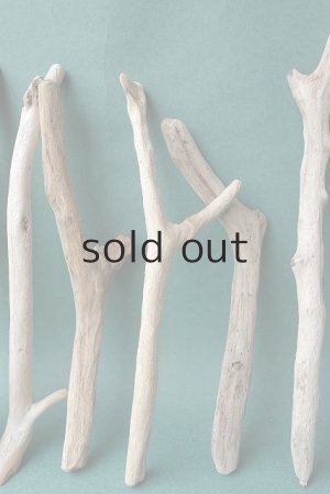 画像3: 小枝流木セット