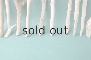 画像6: 小枝流木セット