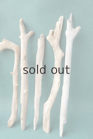 画像5: 小枝流木セット