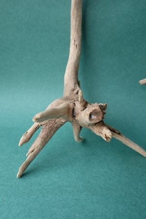 画像2: 流木根セット