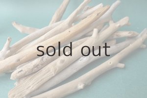 画像9: 小枝流木セット