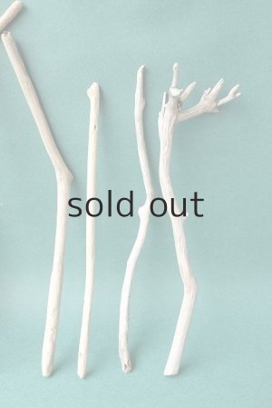 画像5: 小枝流木セット