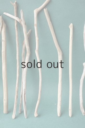 画像4: 小枝流木セット